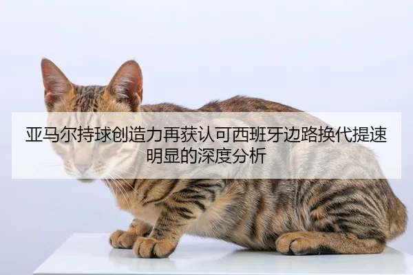 亚马尔持球创造力再获认可西班牙边路换代提速明显的深度分析