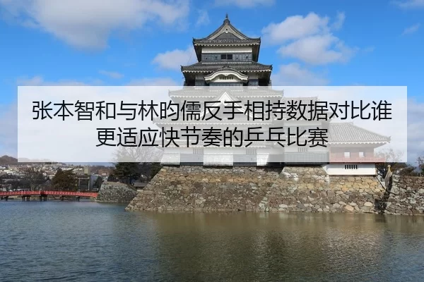 张本智和与林昀儒反手相持数据对比谁更适应快节奏的乒乓比赛