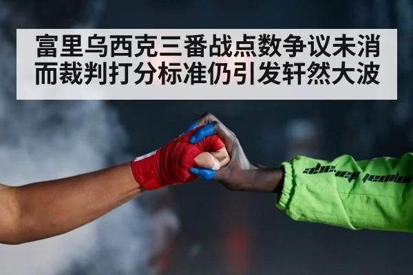 Fury Usyk fight