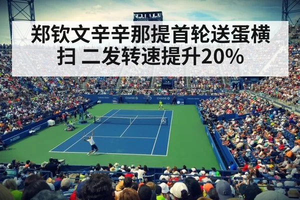 Cincinnati Open tennis match