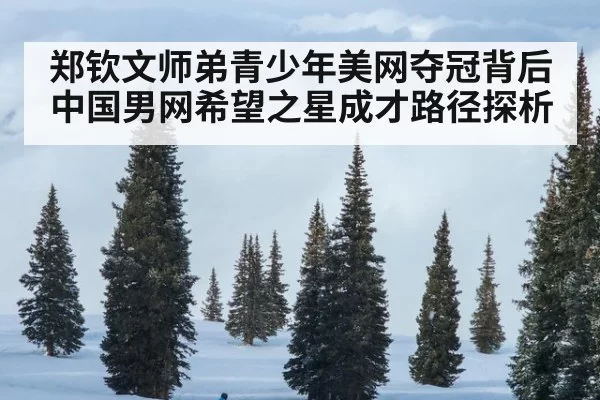郑钦文师弟青少年美网夺冠背后 中国男网希望之星成才路径探析